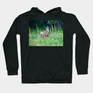 Shy Deer Hoodie